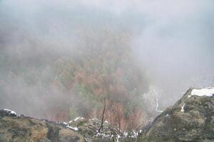 Aussicht von das groß zschirnstein in das Senke von bunt Nadelbäume durch Nebel foto