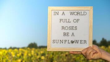 im ein Welt voll von Rosen Sein ein Sonnenblume Text auf Weiß Tafel Nächster zu Sonnenblume Feld. motivierend Bildbeschriftung inspirierend zitieren. Sein einzigartig Sprichwort Phrase Humor Konzept. sonnig Sommer- Tag foto