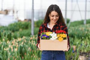 schön jung lächelnd Mädchen, Arbeiter mit Blumen im Gewächshaus. Konzept Arbeit im das Gewächshaus, Blumen. foto