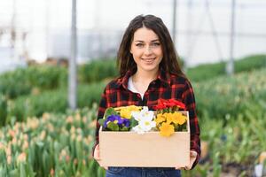 schön jung lächelnd Mädchen, Arbeiter mit Blumen im Gewächshaus. Konzept Arbeit im das Gewächshaus, Blumen. foto