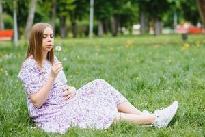 schwanger Frau ruhen im das Park foto