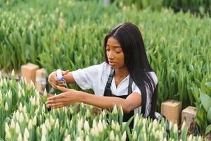 schön jung lächelnd afrikanisch amerikanisch Mädchen, Arbeiter mit Blumen im Gewächshaus. Konzept Arbeit im das Gewächshaus, Blumen. foto