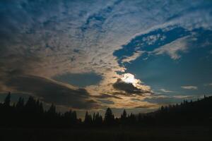 wild Wald Silhouette auf Berg unter Star Nacht Himmel. schön Silhouetten von Nadelbaum Bäume auf Hügel im dunkel sternenklar Nacht. foto