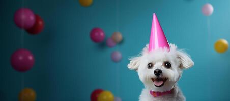 ai generiert das Hund hat Weiß Perücke und ein Party Hut foto