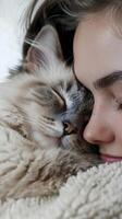 ai generiert Nahansicht von das Mädchen kuscheln ihr Katze schließen zu ihr Gesicht, mit beide Anzeigen Zufriedenheit und Entspannung, generativ ai foto
