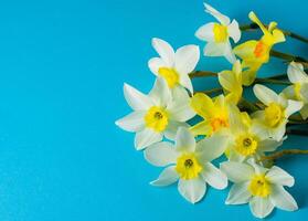 Weiß und Gelb Narzissen auf ein Blau Hintergrund. Blume mit Orange Center. Frühling Blumen. ein einfach Narzisse Knospe. Narzisse Strauß. foto