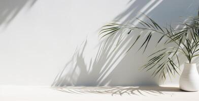 ai generiert Weiß Mauer mit Schatten von Blätter und Palme Baum foto