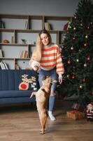 schön Frau sitzt auf ein Jahrgang Couch mit Hund. auf ein Hintergrund von ein Weihnachten Baum im ein dekoriert Zimmer. glücklich Neu Jahr foto