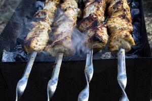 Fleisch im Gewürze Kochen auf ein Feuer draussen. Grill Hintergrund. foto