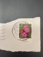 philatelistisch Leidenschaft erkunden das Welt durch Briefmarke Sammlungen foto