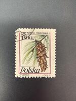 philatelistisch Reise erkunden Briefmarken von verschiedene Länder und historisch Veranstaltungen foto
