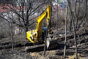 Bagger Maschine Arbeiten im ein Park. foto