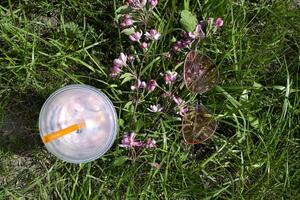 Rosa Gläser, Blühen Ast und frisch trinken auf ein Grün Gras. foto