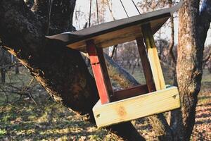 natürlich Vogelhaus auf das Baum. foto