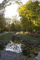 Herbst Park. Gelb Laub. schön und friedlich Ort. Herbst Landschaft. foto