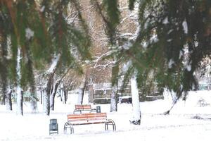 das Bank im Winter Park. Park Straße. das Schönheit von Winter Natur. foto