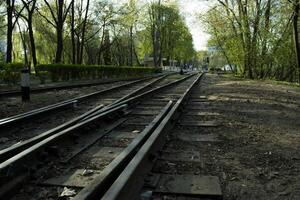 Eisenbahn Straße im ein Wald. foto