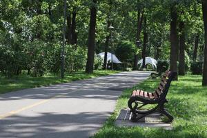 leeren Bank im das Park beim Sommer. foto