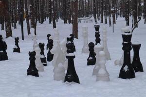 Schach Tafel im Winter Wald Park. groß zahlen von Schach auf das Schnee. foto