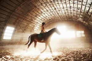 majestätisches bild der pferdepferdesilhouette mit reiter auf sonnenunterganghintergrund. der Mädchenjockey auf dem Rücken eines Hengstes reitet in einem Hangar auf einem Bauernhof und springt über die Querlatte. das konzept des reitens foto