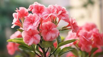 ai generiert Nahansicht von Rosa und Weiß Hibiskus Blumen foto