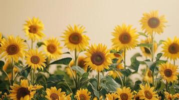 ai generiert ein minimalistisch Hintergrund mit ein Rand von Sonnenblumen foto