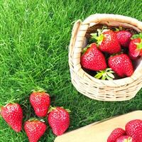 ai generiert eap von frisch Erdbeeren im Schüssel auf Weiß hölzern Hintergrund. oben Aussicht Punkt. foto