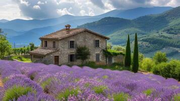 ai generiert schön Landschaft mit Blühen Lavendel Felder im Provence. foto
