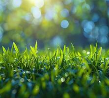 ai generiert Grün Gras Hintergrund mit hell Bokeh und ein schön Grün Farbe foto