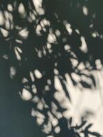 Blätter Schatten Hintergrund auf Beton Mauer Textur, Blätter Baum Geäst Schatten mit Sonnenlicht foto