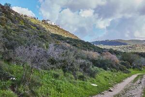 friedlich Grün Hügel und wolkig Blau Himmel Landschaft mit beschwingt Farben foto