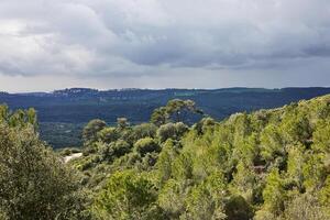 szenisch Aussicht von montieren Carmel im haifa mit Nadelbaum und laubabwerfend Bäume und Sturm Wolken foto