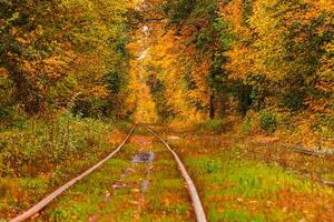 Herbst Wald durch welche ein alt Straßenbahn Fahrten Ukraine foto