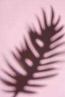 verschwommen Palme Wedel im Sanft Licht Erstellen ein traumhaft Muster foto