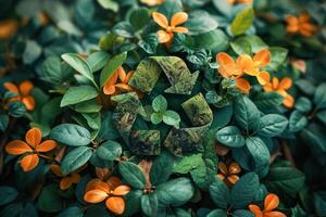 ai generiert moosbedeckt recyceln Symbol eingebettet unter üppig Grün Blätter foto