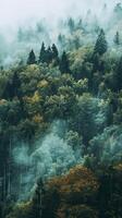 ai generiert neblig Wald beim Dämmerung mit üppig Grün und Herbst Farben foto