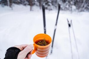 Wandern Becher mit Fichte Zweige im das Hände von ein Reisender. das Ski Stangen und das Ski im das Schnee voraus. trinken warm Tee im das Winter Wald. foto