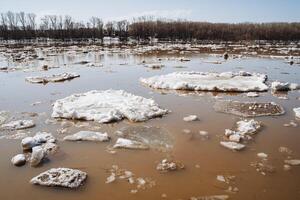 Flut auf das Fluss Stücke von Eis schweben auf schmutzig Wasser, Flut, Eis, Frühling schmilzt Schnee. foto