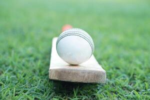 Weiß Kricket Ball auf hölzern Schläger. Konzept, Sport Ausrüstung. wettbewerbsfähig Sport. ein Kricket Ball ist gemacht mit ein Ader von Kork, bedeckt durch ein Leder Fall mit ein leicht angehoben genäht Naht foto