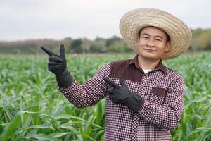 asiatisch Mann Farmer ist beim Garten, trägt Hut, braun Plaid Shirt, Punkt Finger zum hinzufügen Text oder Werbung, Stand beim Mais Garten, Gefühl zuversichtlich. Konzept, Landwirtschaft Beruf. thailändisch Farmer Lebensstil. foto