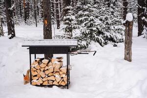 Protokolle. gehackt Birke Brennholz im ein Protokoll. gestapelt Brennholz im das Hinterhof. Brennholz unter das Schnee. bauen ein Feuer, Hitze ein Sauna und ein Kamin foto