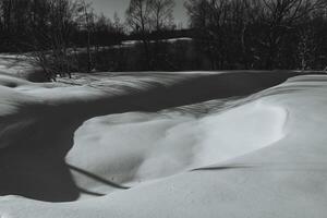schwarz und Weiß fotografieren von ein Winter Wald. groß Schneeverwehungen Besetzung ein Schatten von das Sonne. foto