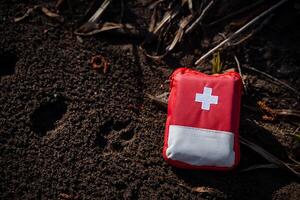 ein rot zuerst Hilfe Kit Lügen auf das Boden. Medizin Tasche. zuerst Hilfe im ein Wanderung im das Wald, Notfall Pflege zum Schnitte. foto