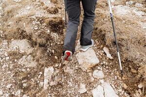 Beine Rückseite Sicht, Schuhwerk zum Trekking im das Berge, nordisch Gehen mit Stangen, grau warm Hose, Unterstützung auf Stöcke, Füße gehen foto