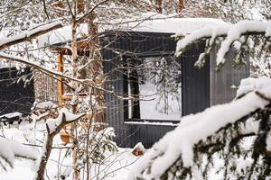 modular Haus gemacht von dunkel Metall und Licht Holz im Winter Wald. ein Haus Das nimmt in Konto alles Sie brauchen zum ein komfortabel Leben draußen das Stadt. foto