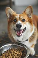 ai generiert Eckzahn Glückseligkeit glücklich Hund erfreulich im Prämie Essen foto