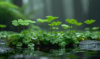 ai generiert Grün Pflanzen und Blumen im das Regen foto