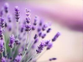 ai generiert lila Lavendel Strauß. horizontal Bild mit Kräuter- zum Spa oder Medizin. foto