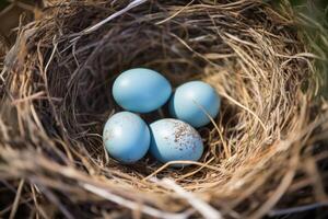 ai generiert gesprenkelt Nest Vogel Eier natürlich. generieren ai foto