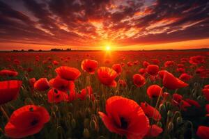 ai generiert beschwingt Mohn Feld Sonnenuntergang Kunst malen. generieren ai foto